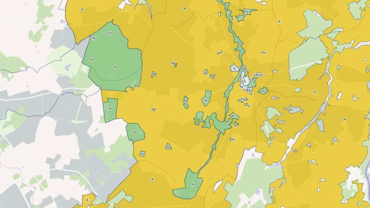Aperçu cartographique de Bouresse, centré sur la commune