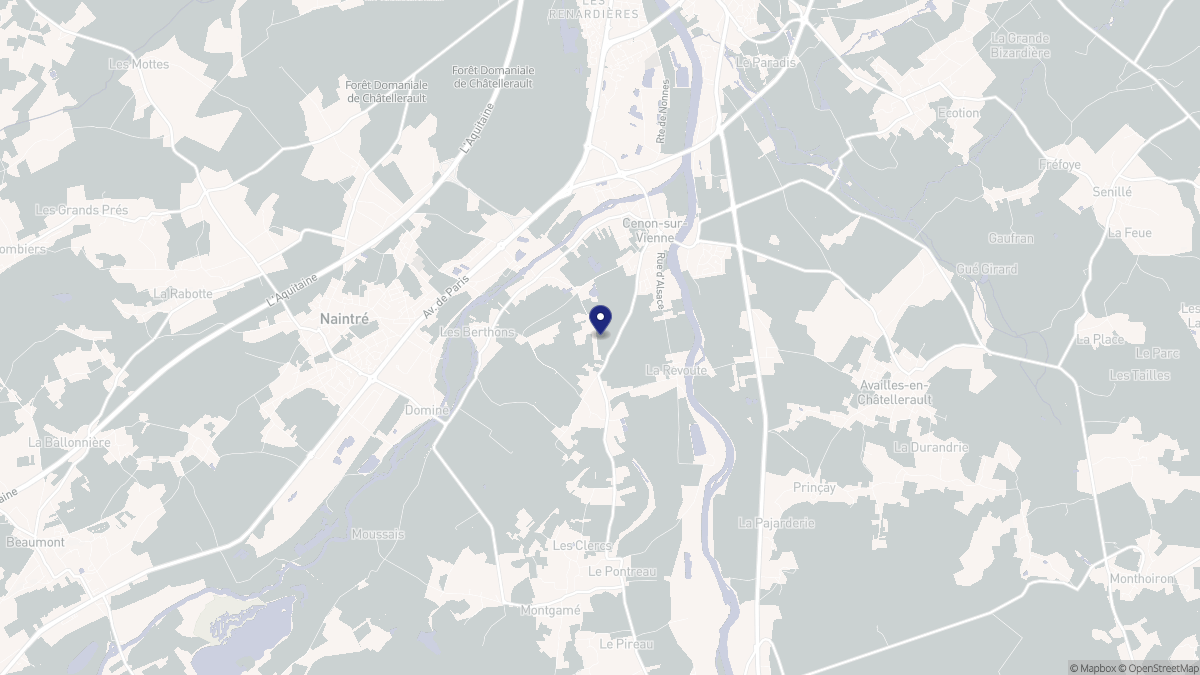 Aperçu cartographique de Cenon-sur-Vienne, centré sur la commune