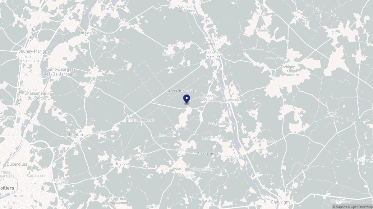 Aperçu cartographique de La Chapelle-Moulière, centré sur la commune