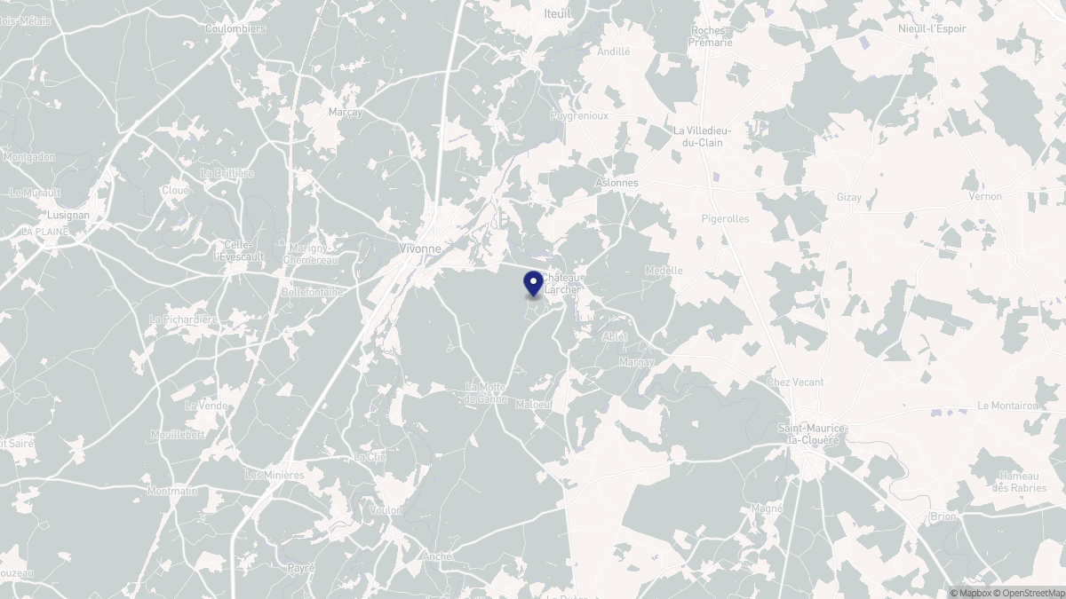 Aperçu cartographique de Château-Larcher, centré sur la commune