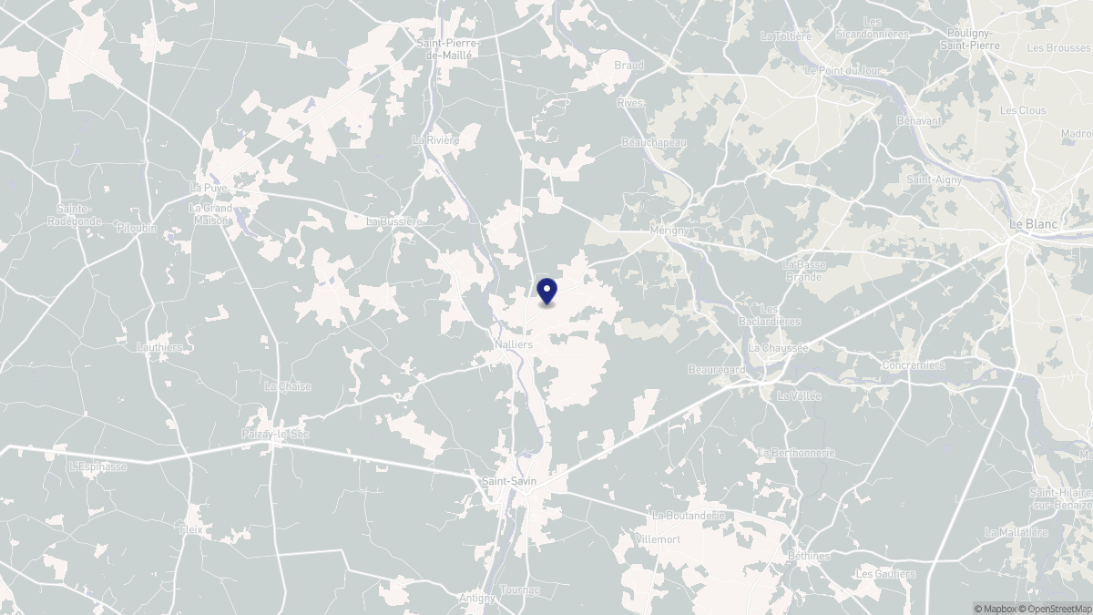 Aperçu cartographique de Nalliers, centré sur la commune