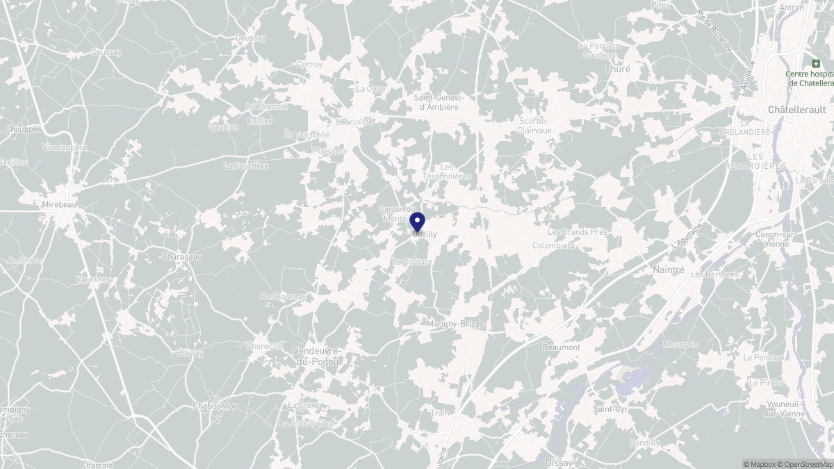 Aperçu cartographique de Ouzilly, centré sur la commune