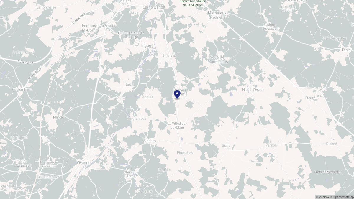 Aperçu cartographique de Roches-Prémarie-Andillé, centré sur la commune