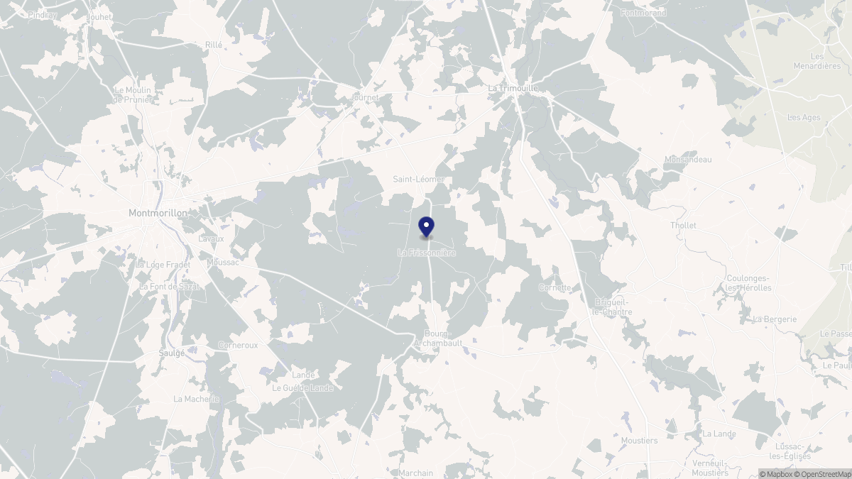 Aperçu cartographique de Saint-Léomer, centré sur la commune