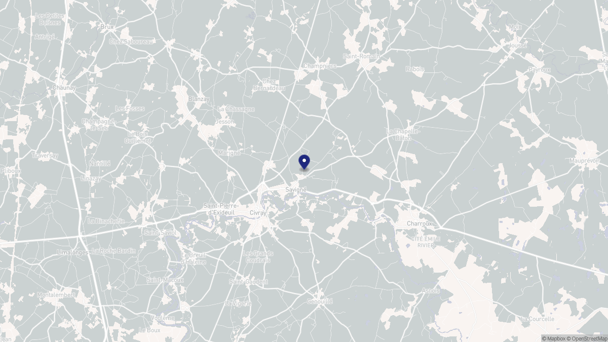 Aperçu cartographique de Savigné, centré sur la commune