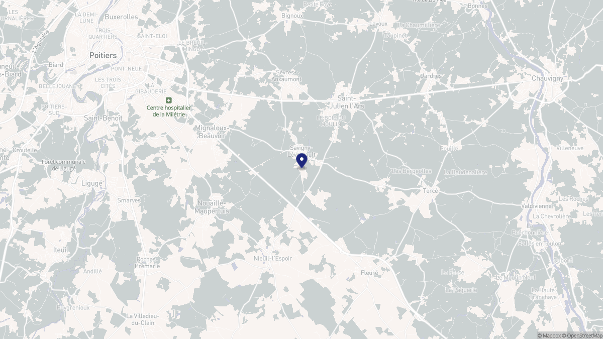 Aperçu cartographique de Savigny-Lévescault, centré sur la commune