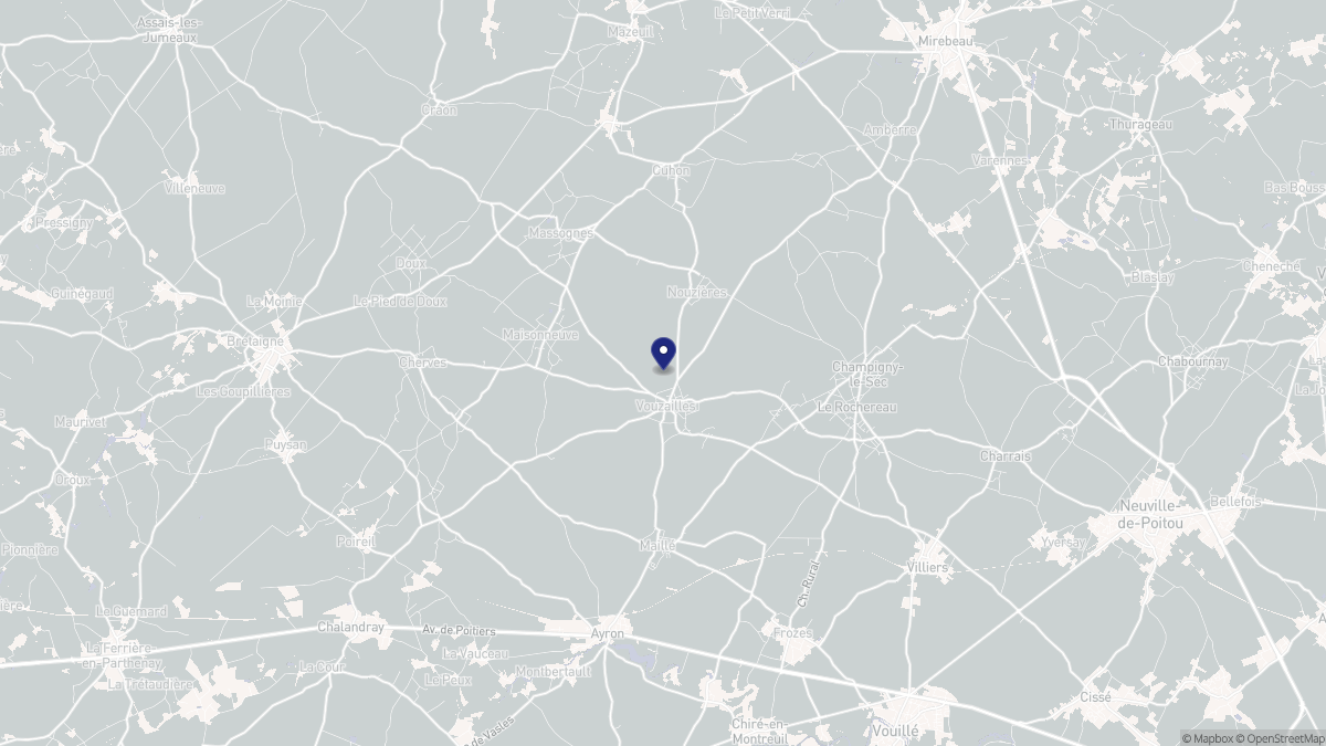 Aperçu cartographique de Vouzailles, centré sur la commune