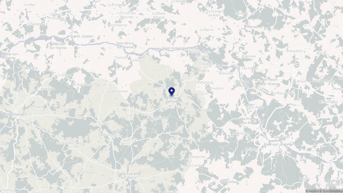 Aperçu cartographique de Cognac-la-Forêt, centré sur la commune