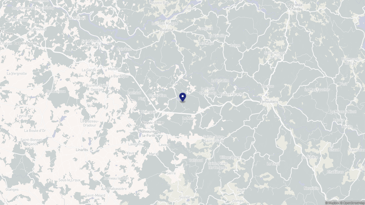 Aperçu cartographique de Neuvic-Entier, centré sur la commune