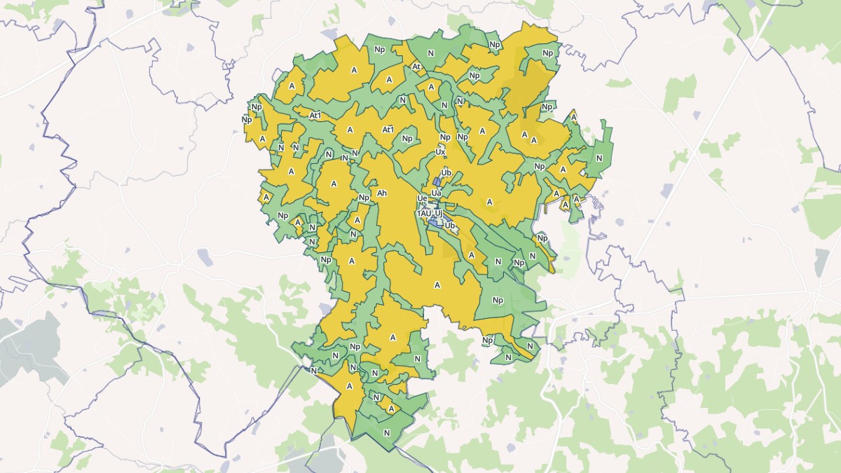 Aperçu cartographique de Nouic, centré sur la commune