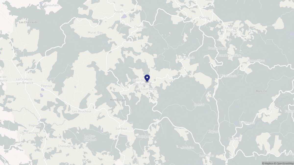 Aperçu cartographique de Saint-Gilles-les-Forêts, centré sur la commune