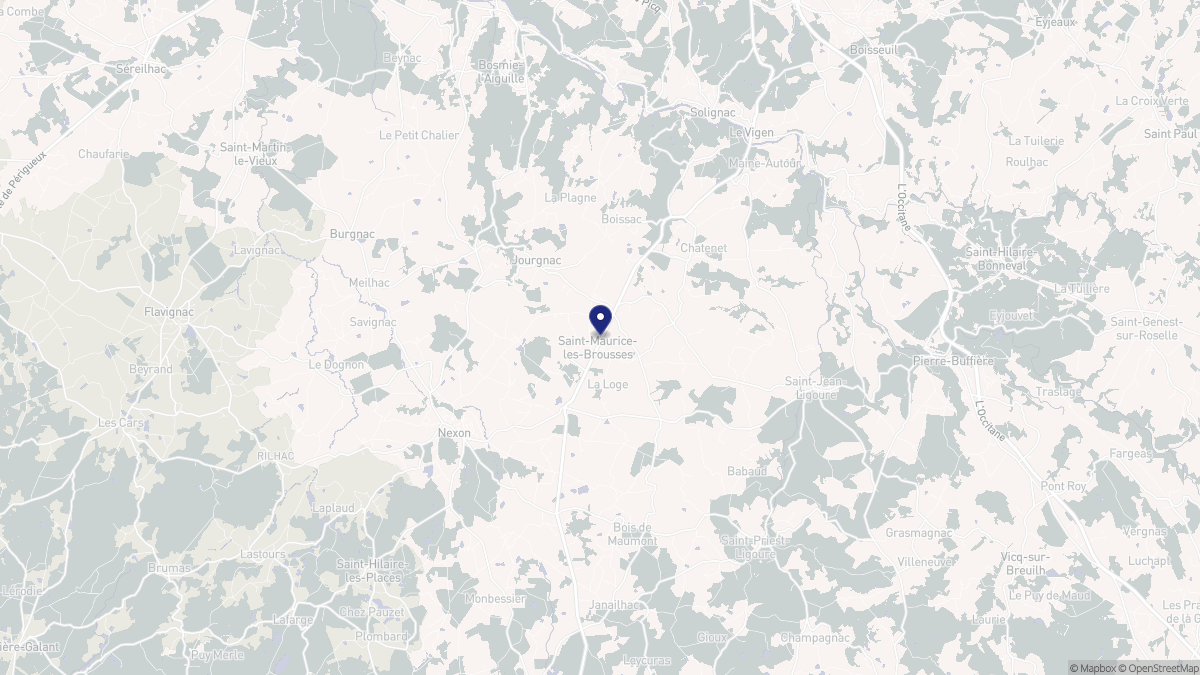 Aperçu cartographique de Saint-Maurice-les-Brousses, centré sur la commune