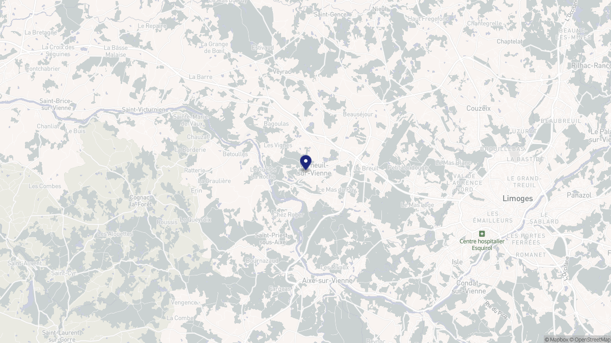 Aperçu cartographique de Verneuil-sur-Vienne, centré sur la commune