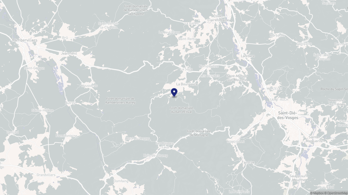 Aperçu cartographique de La Bourgonce, centré sur la commune