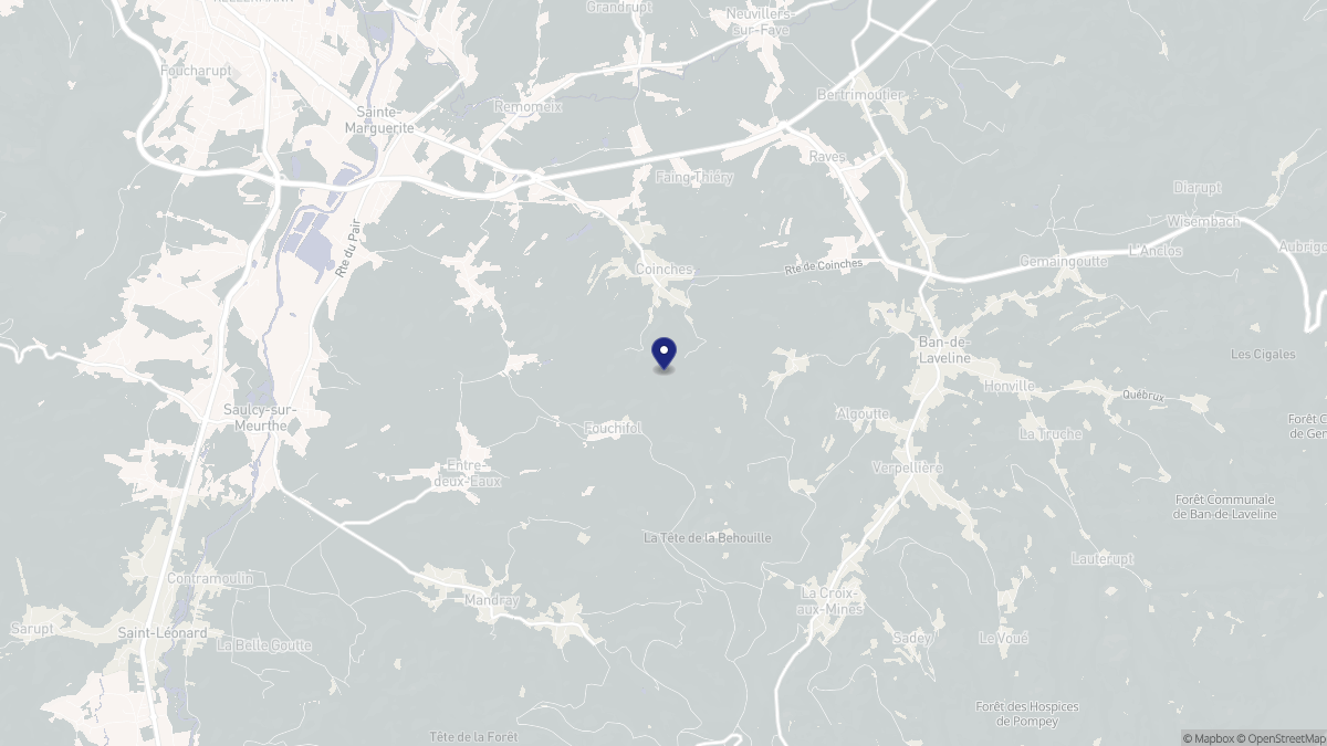 Aperçu cartographique de Coinches, centré sur la commune