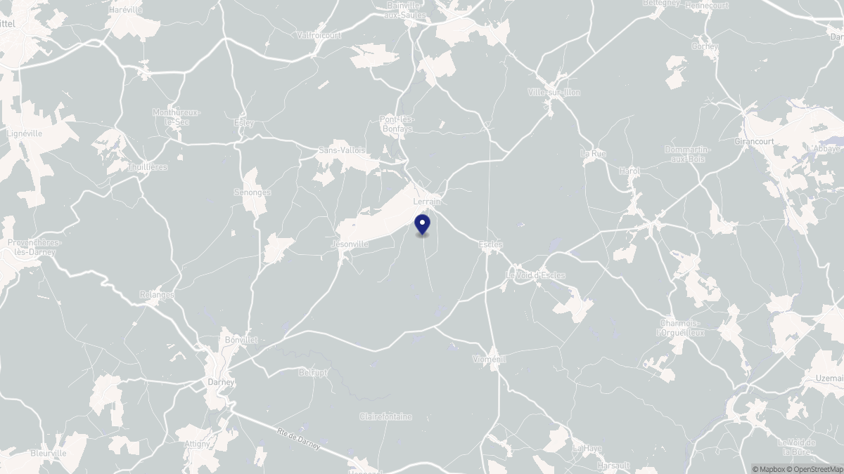 Aperçu cartographique de Lerrain, centré sur la commune