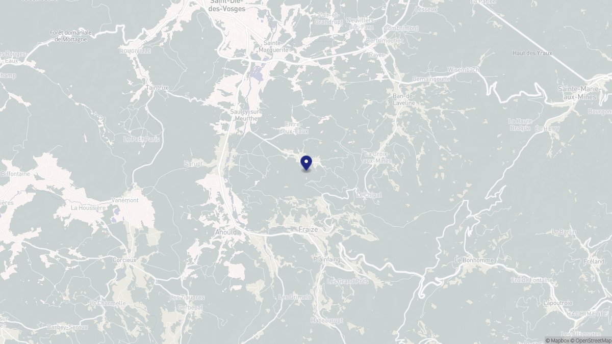 Aperçu cartographique de Mandray, centré sur la commune