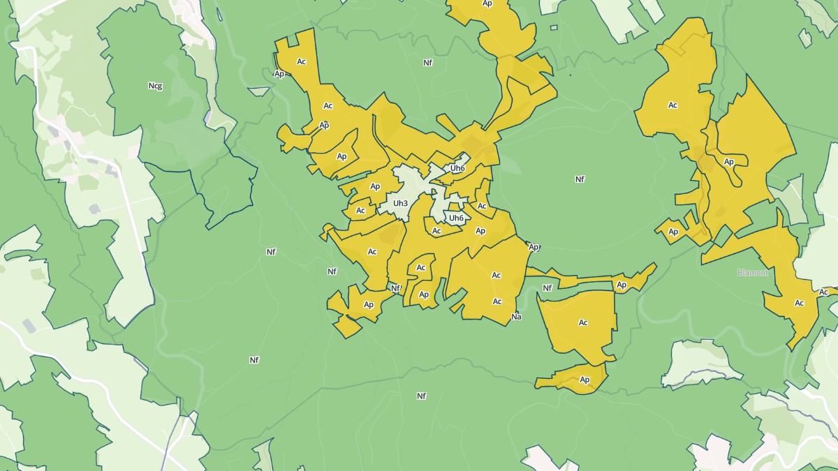 Aperçu cartographique de Ménil-de-Senones, centré sur la commune