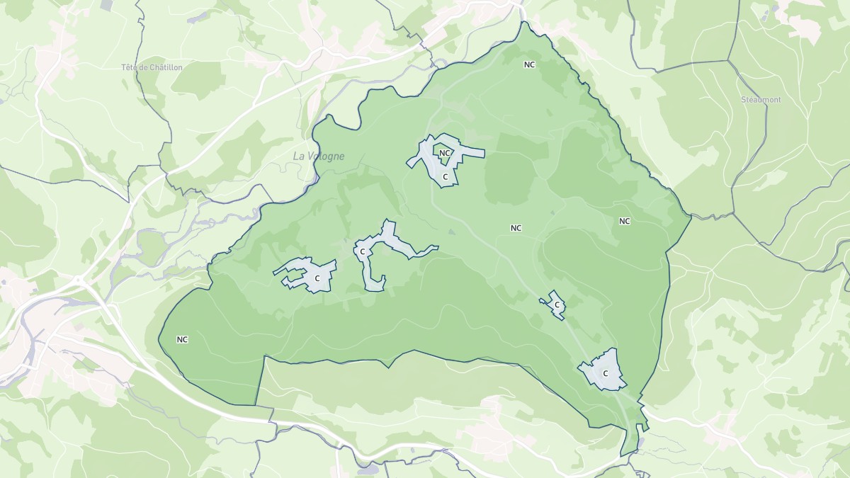 Aperçu cartographique de La Neuveville-devant-Lépanges, centré sur la commune