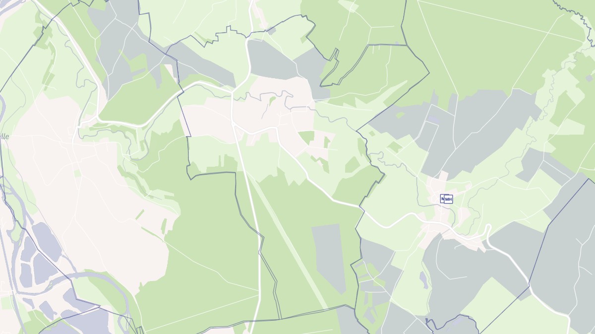 Aperçu cartographique de Pallegney, centré sur la commune