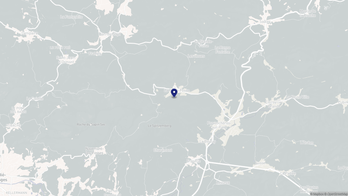 Aperçu cartographique de La Petite-Fosse, centré sur la commune