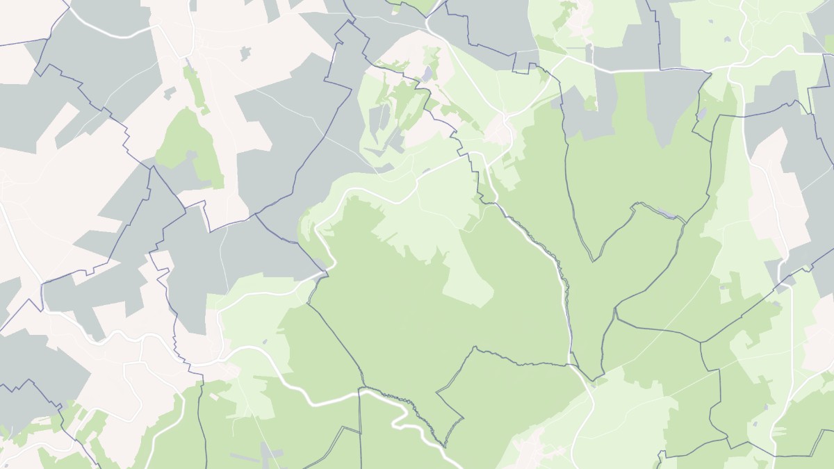 Aperçu cartographique de Saint-Baslemont, centré sur la commune