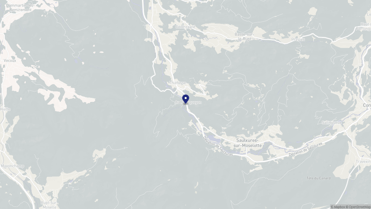 Aperçu cartographique de Thiéfosse, centré sur la commune
