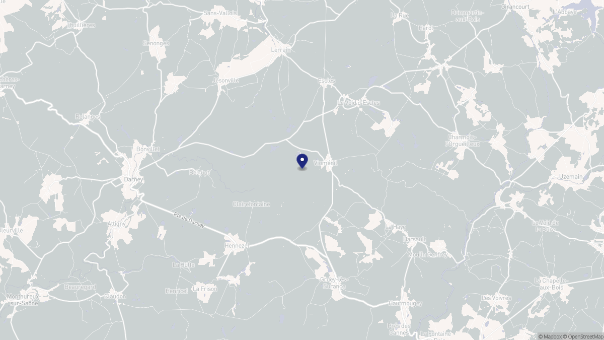 Aperçu cartographique de Vioménil, centré sur la commune