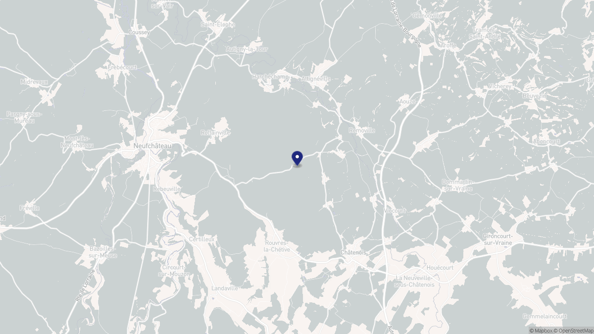 Aperçu cartographique de Vouxey, centré sur la commune
