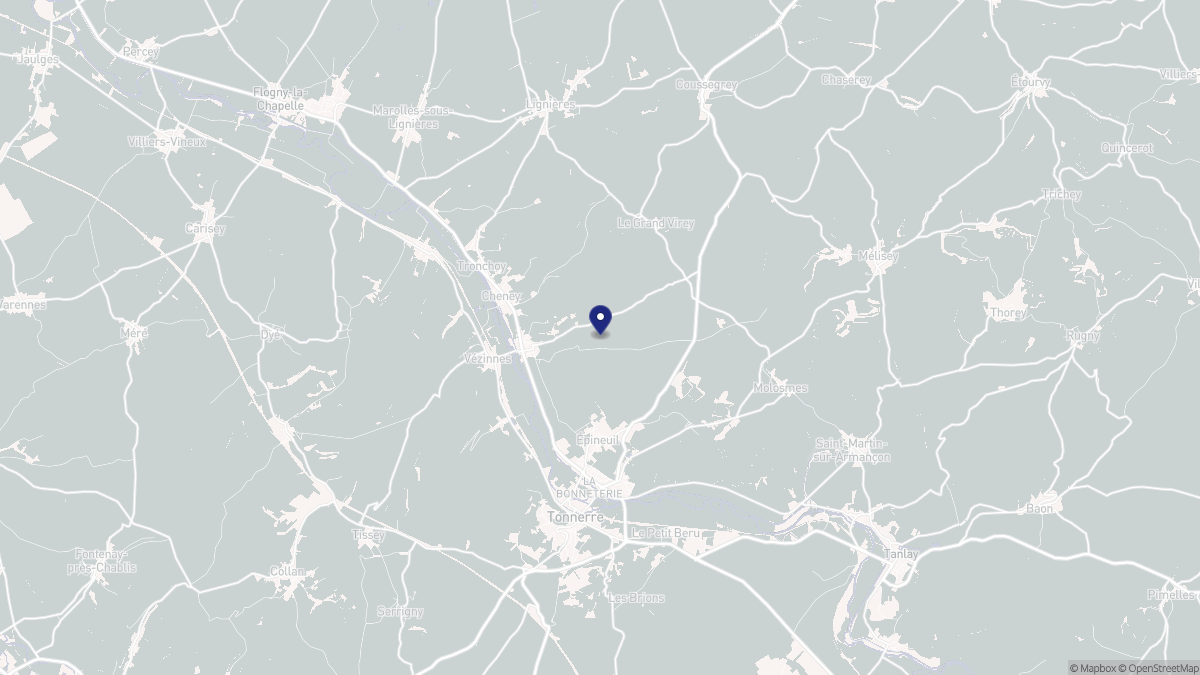 Aperçu cartographique de Dannemoine, centré sur la commune