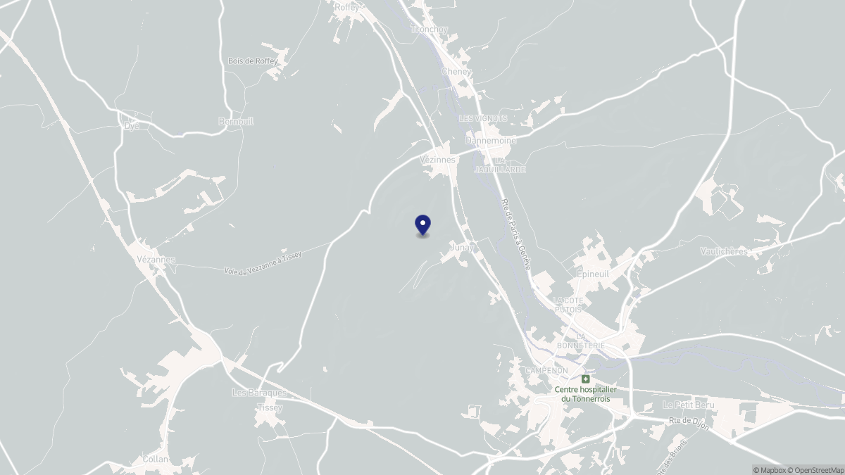 Aperçu cartographique de Junay, centré sur la commune