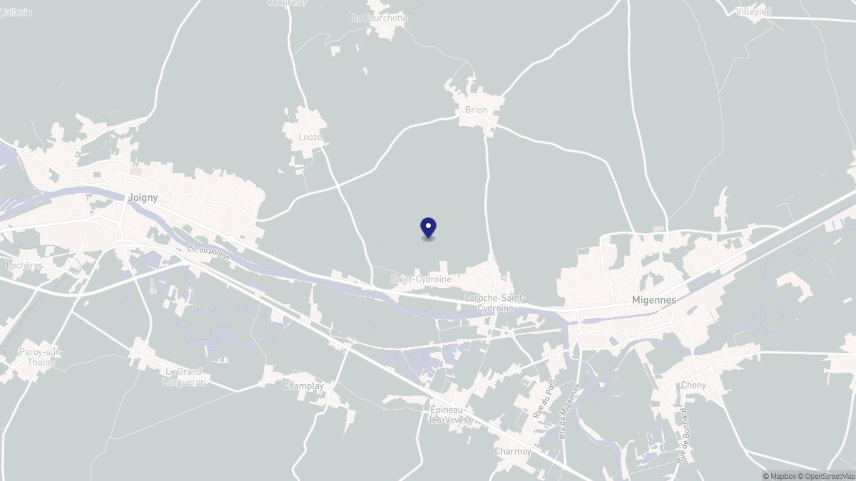 Aperçu cartographique de Laroche-Saint-Cydroine, centré sur la commune