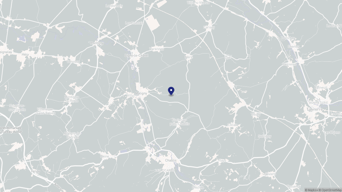 Aperçu cartographique de Maligny, centré sur la commune