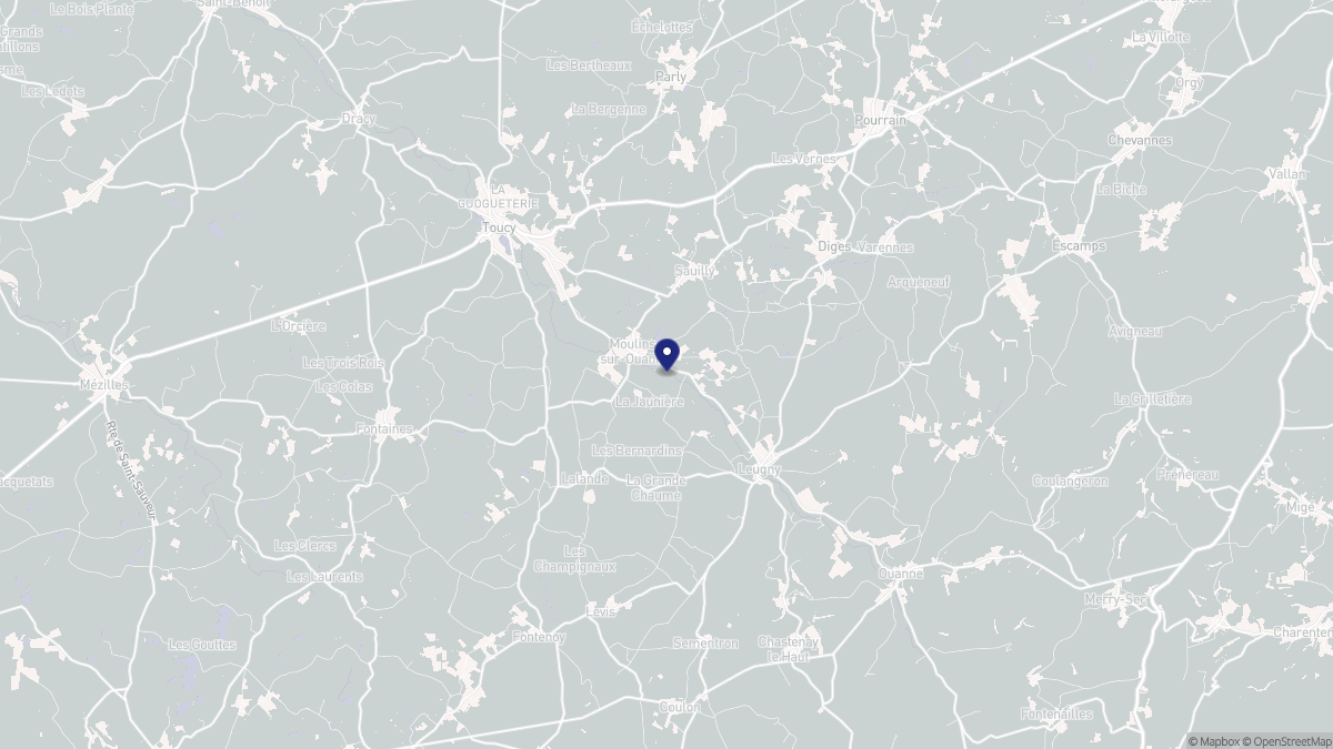 Aperçu cartographique de Moulins-sur-Ouanne, centré sur la commune