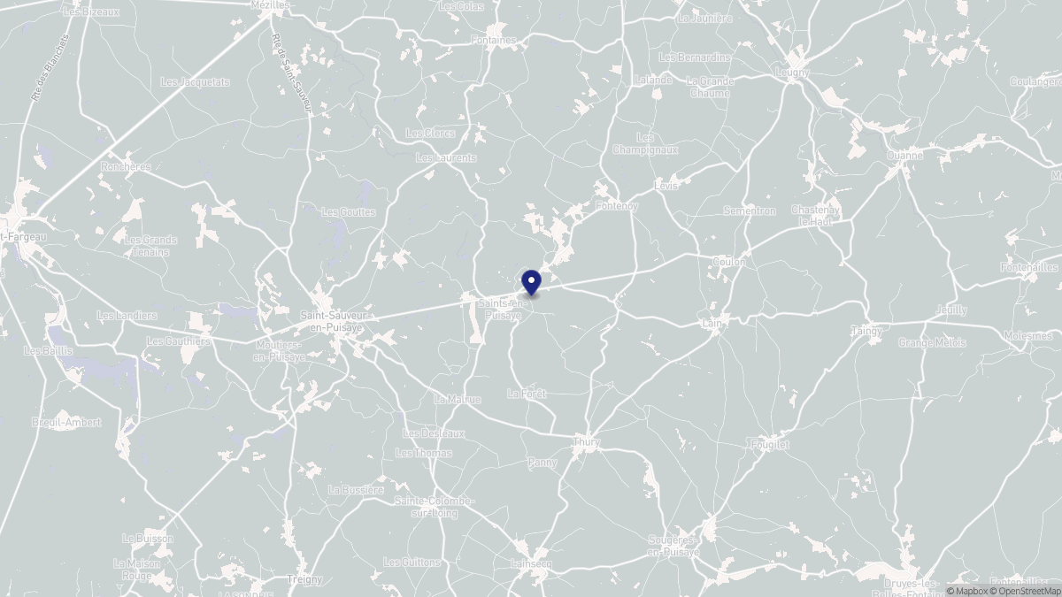 Aperçu cartographique de Saints-en-Puisaye, centré sur la commune