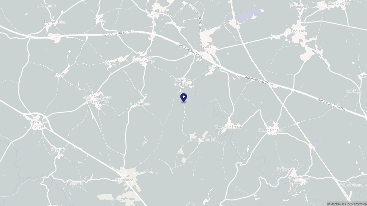 Aperçu cartographique de Sauvigny-le-Beuréal, centré sur la commune