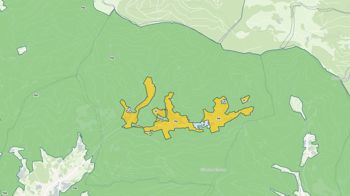 Aperçu cartographique de Riervescemont, centré sur la commune
