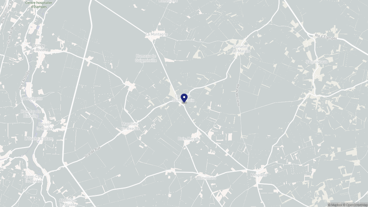 Aperçu cartographique de La Forêt-Sainte-Croix, centré sur la commune