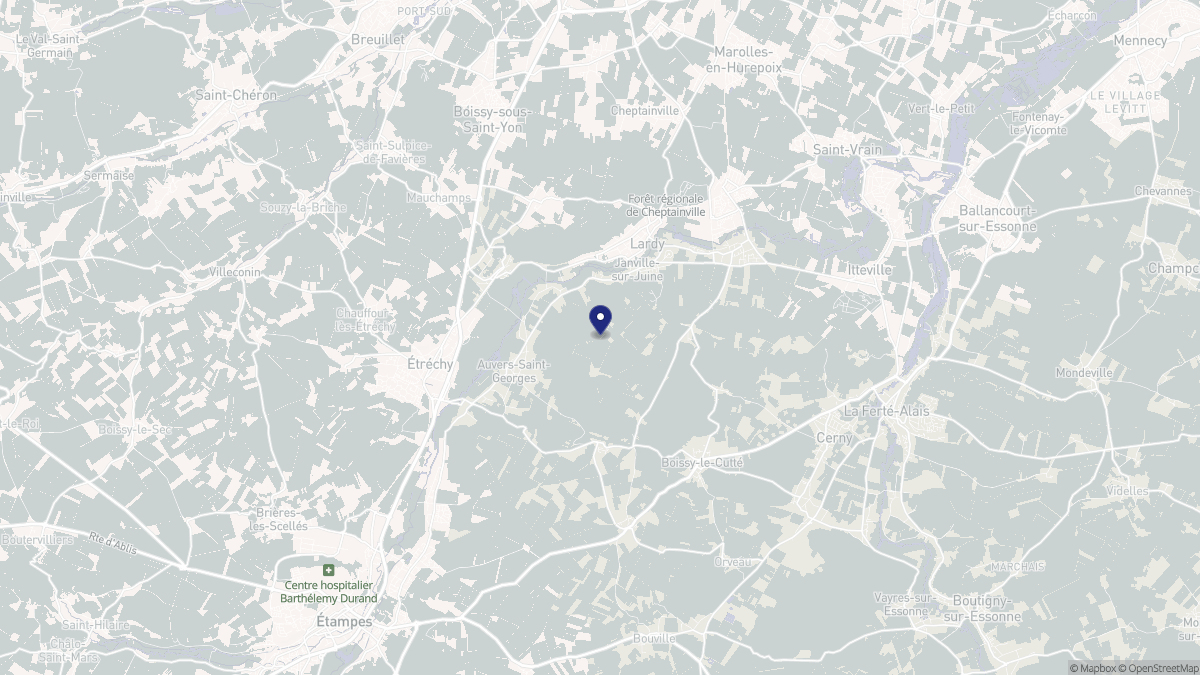Aperçu cartographique de Janville-sur-Juine, centré sur la commune