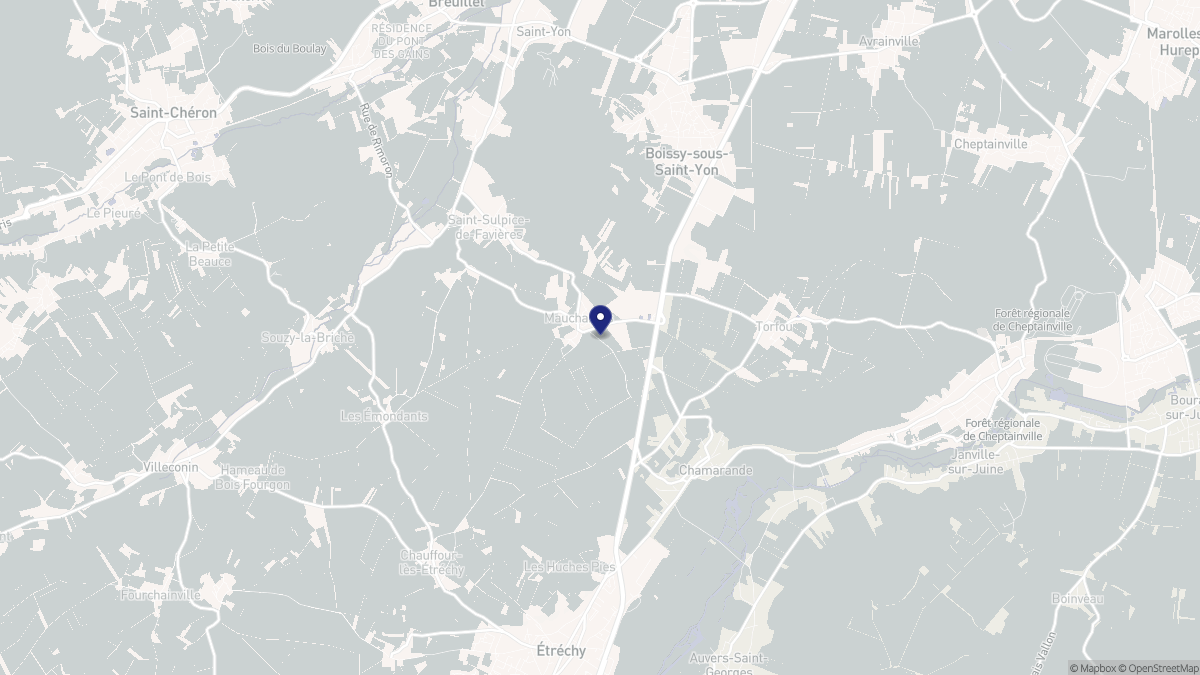 Aperçu cartographique de Mauchamps, centré sur la commune