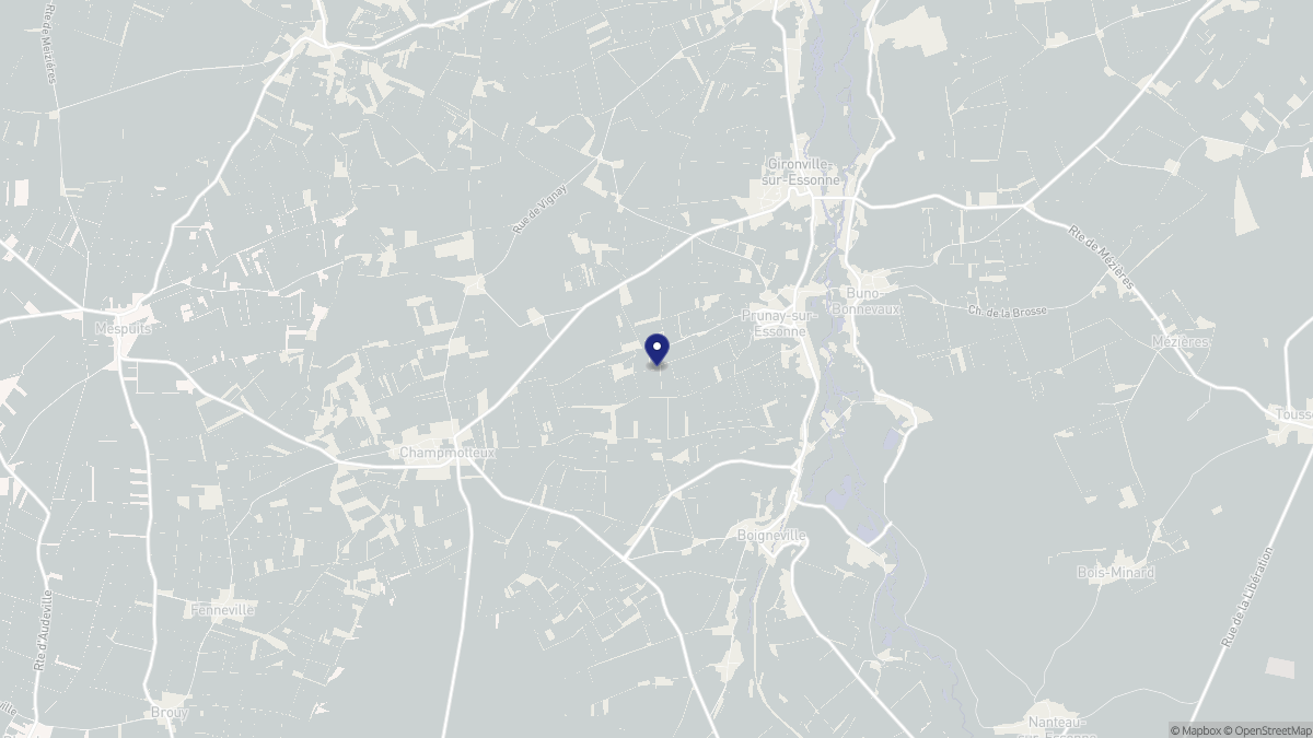 Aperçu cartographique de Prunay-sur-Essonne, centré sur la commune