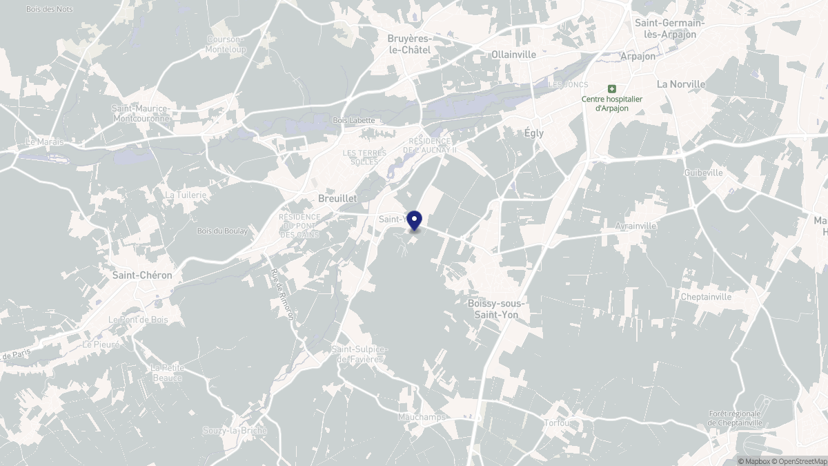 Aperçu cartographique de Saint-Yon, centré sur la commune