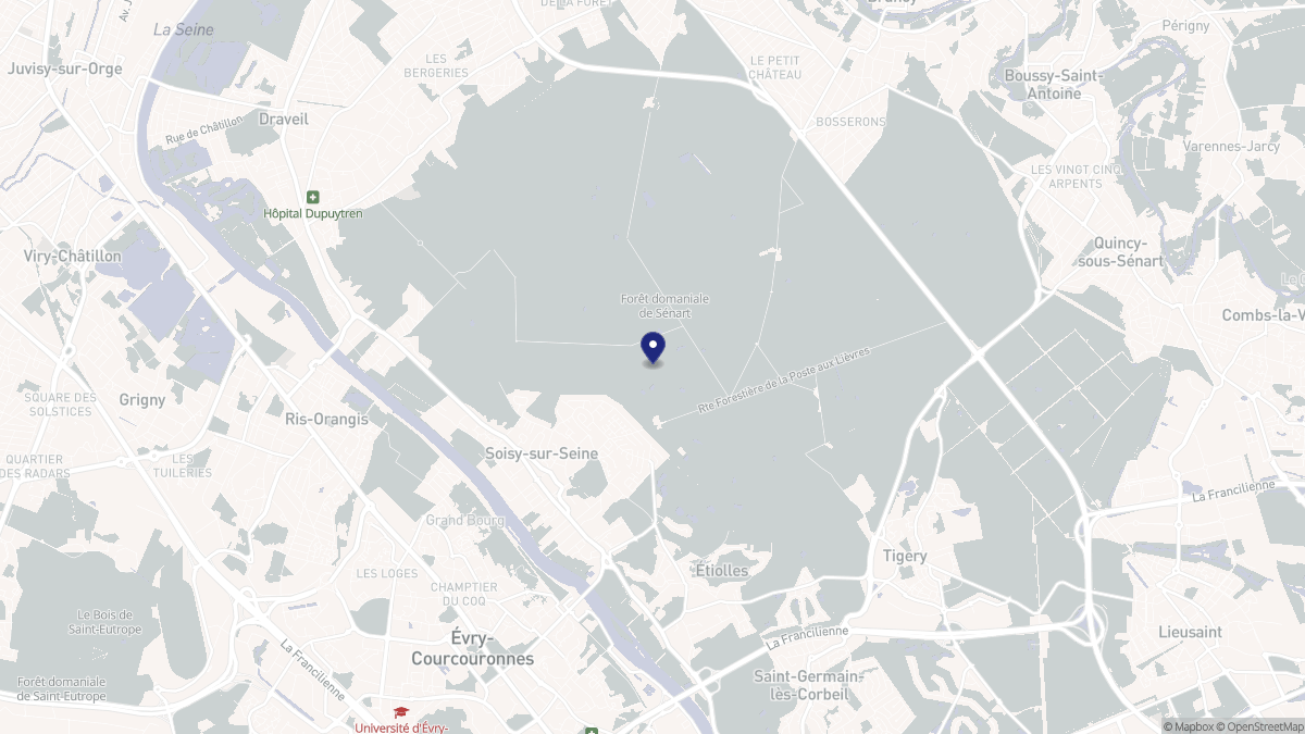 Aperçu cartographique de Soisy-sur-Seine, centré sur la commune